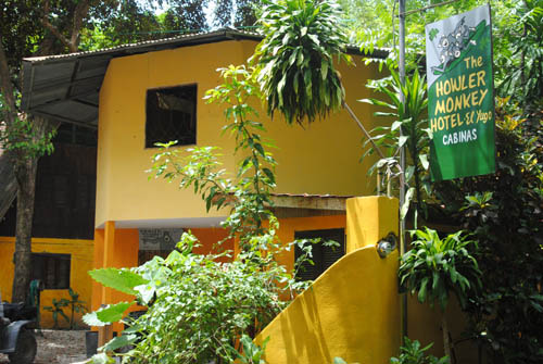Cabuya