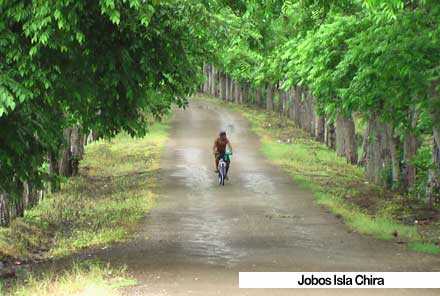 Isla-Chira-3