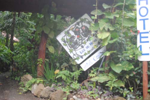 terremoto N909