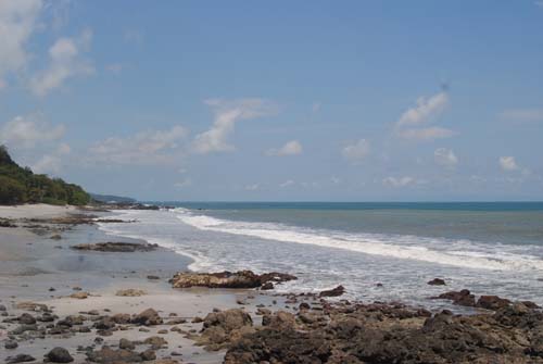 terremoto N 914
